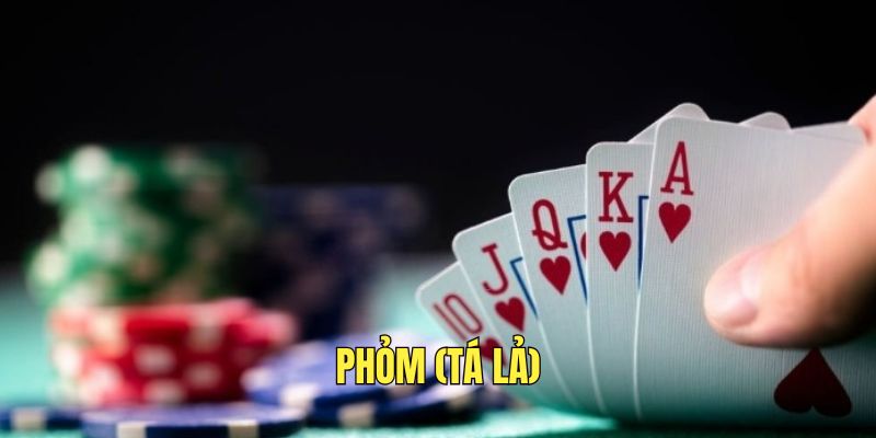 choi-phom-hap-dan-va-kich-tinh-tai-lc88