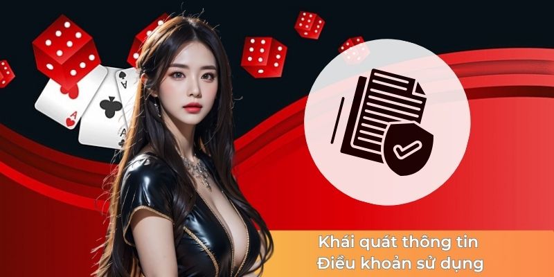 khai-niem-dieu-khoan-su-dung-la-gì