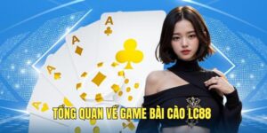 tong-quan-doi-net-ve-bai-cao-lc88