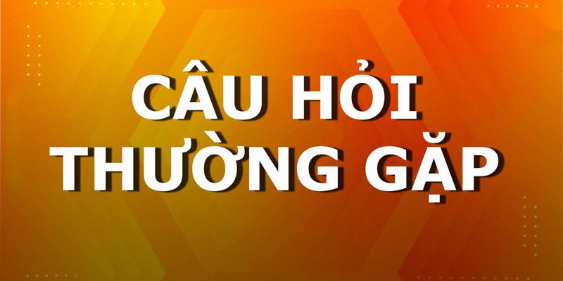 vai-tro-cau-hoi-thuong-gap-tai-lc88